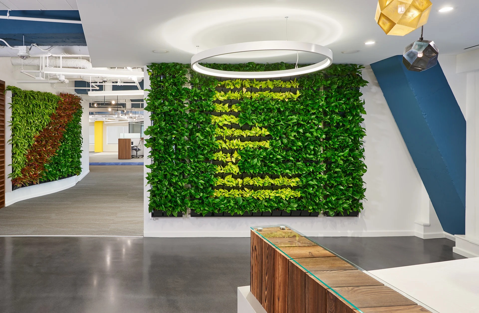Living Walls 5 Green Wall Benefits for Commercial Properties Monster