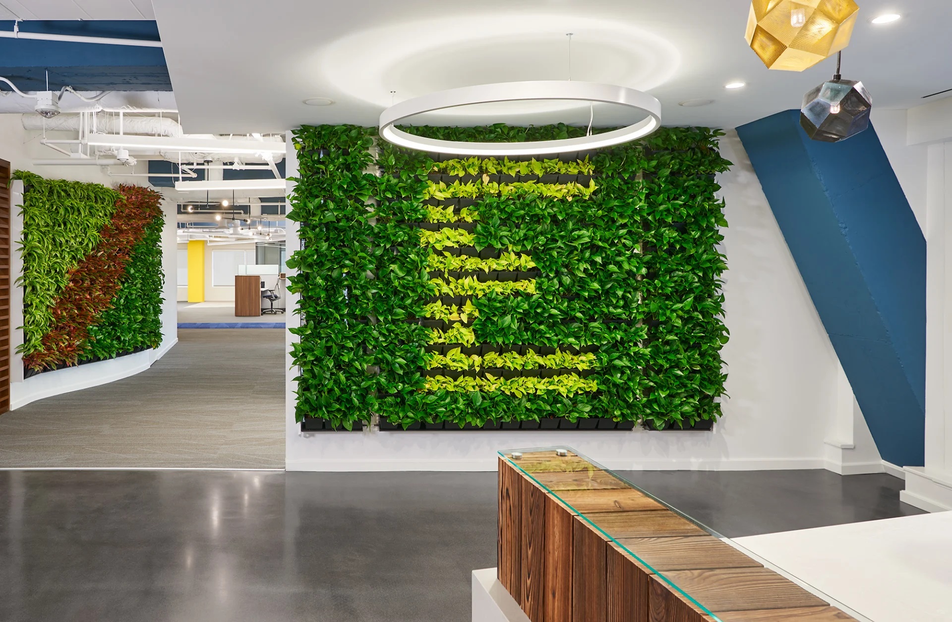 5 Green Wall Benefits for Commercial Properties
